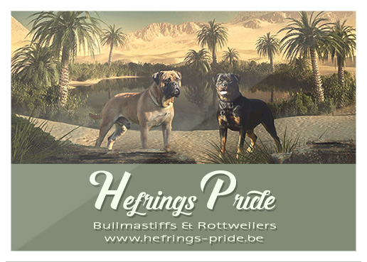 logo Hefrings-Pride
